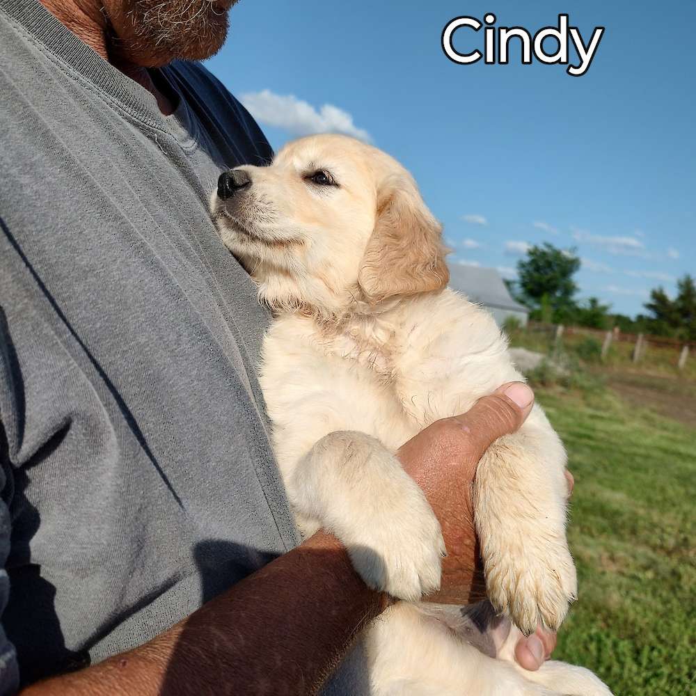 Charlotte and King - April 24, 2025